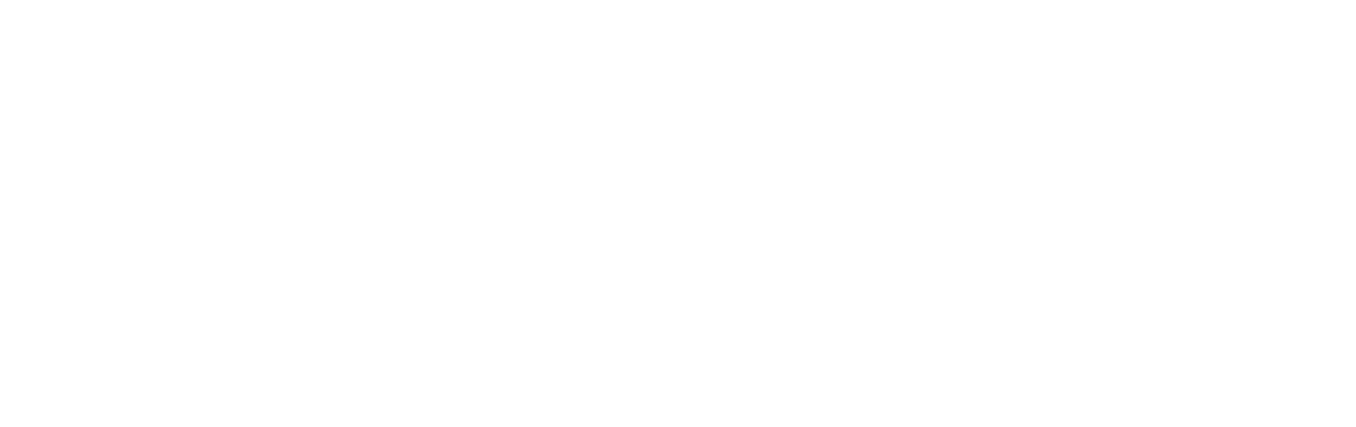 ZSOFT